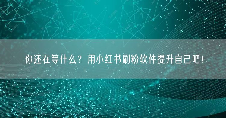 你还在等什么？用小红书刷粉软件提升自己吧！