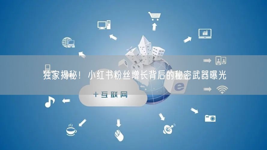 独家揭秘!小红书粉丝增长背后的秘密武器曝光