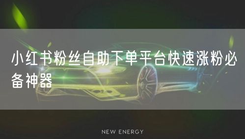 小红书粉丝自助下单平台快速涨粉必备神器