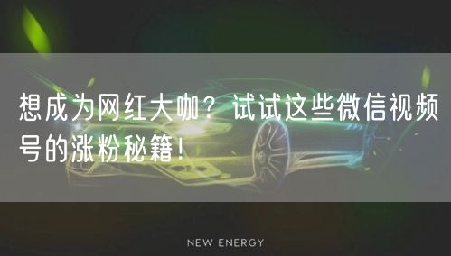 想成为网红大咖?试试这些微信视频号的涨粉秘籍!