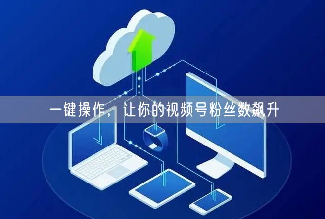 一键操作，让你的视频号粉丝数飙升