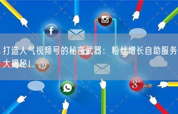 打造人气视频号的秘密武器：粉丝增长自助服务大揭秘！